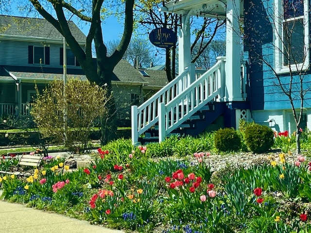 Photo of the exterior of The Muse Gallery Guesthouse