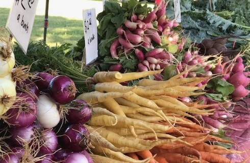 Onions, turnips, carrots, and radishes stacked up for sale at a farmer's market.